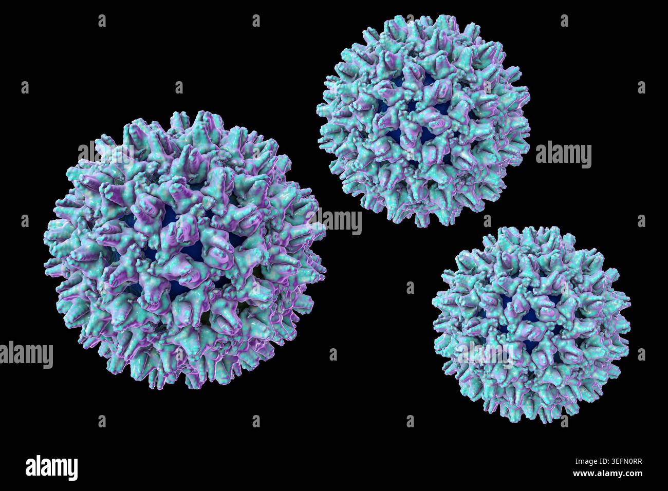 Illustration depicting the hepatitis B virus (HBV), including spherical ...