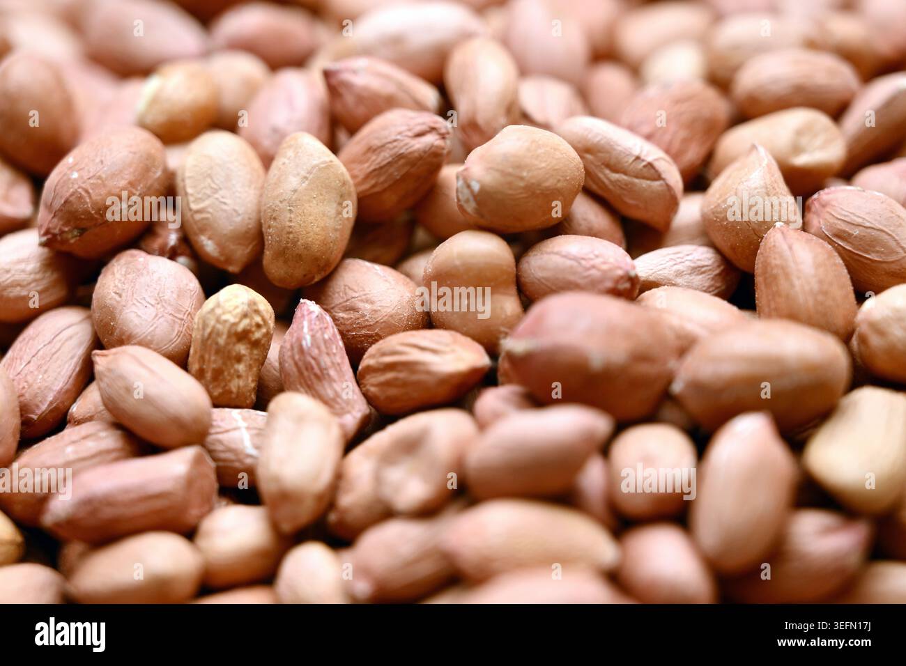Peanuts Texture with Defocus Backgrounds Macro Photography Stock Photo