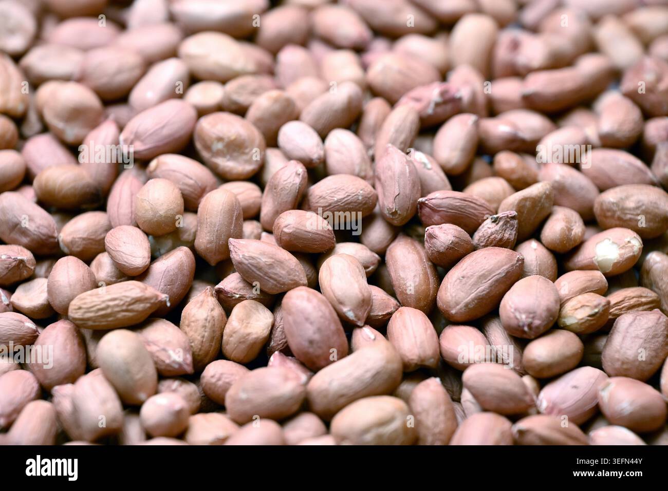 Peanuts Texture with Defocus Backgrounds Macro Photography Stock Photo