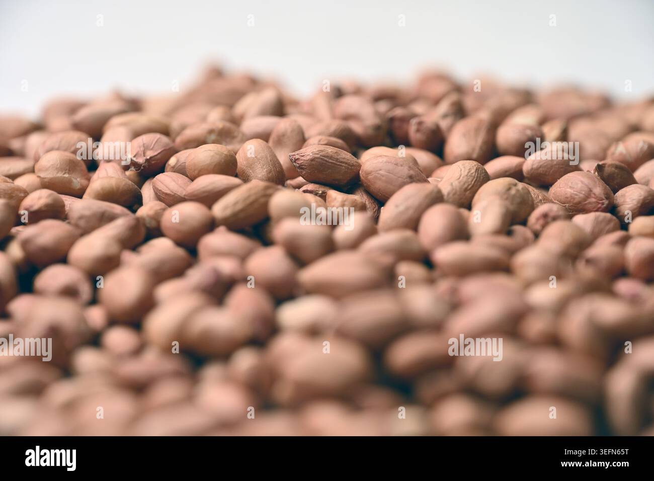 Peanuts Texture with Defocus Backgrounds Macro Photography Stock Photo