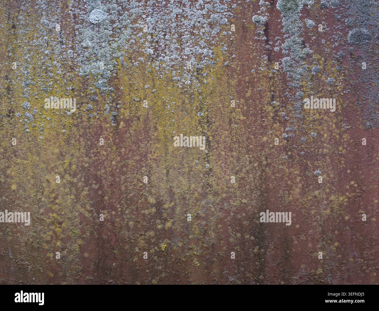 Rusty metal texture. Rusty painted metal surface texture. Rusted background Stock Photo