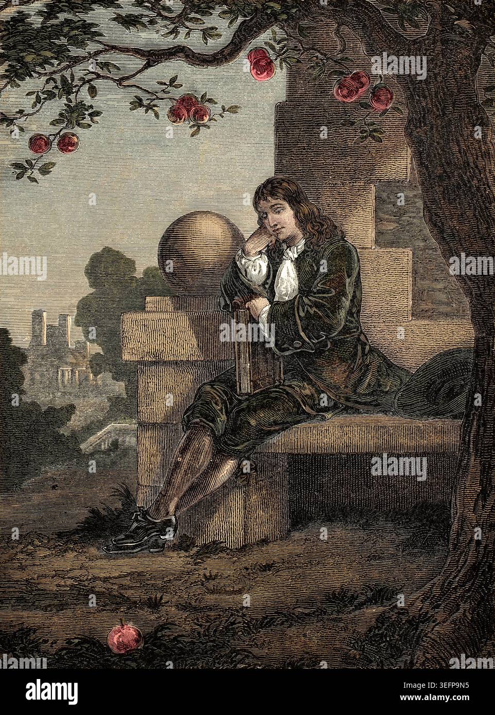Isaac newton tree hi-res stock photography and images - Alamy