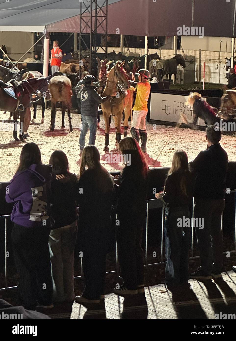 Museumplein Polo Amsterdam Event . Public Polo Tournament. Amsterdam The Netherlands - Smartphone Captured Stock Image