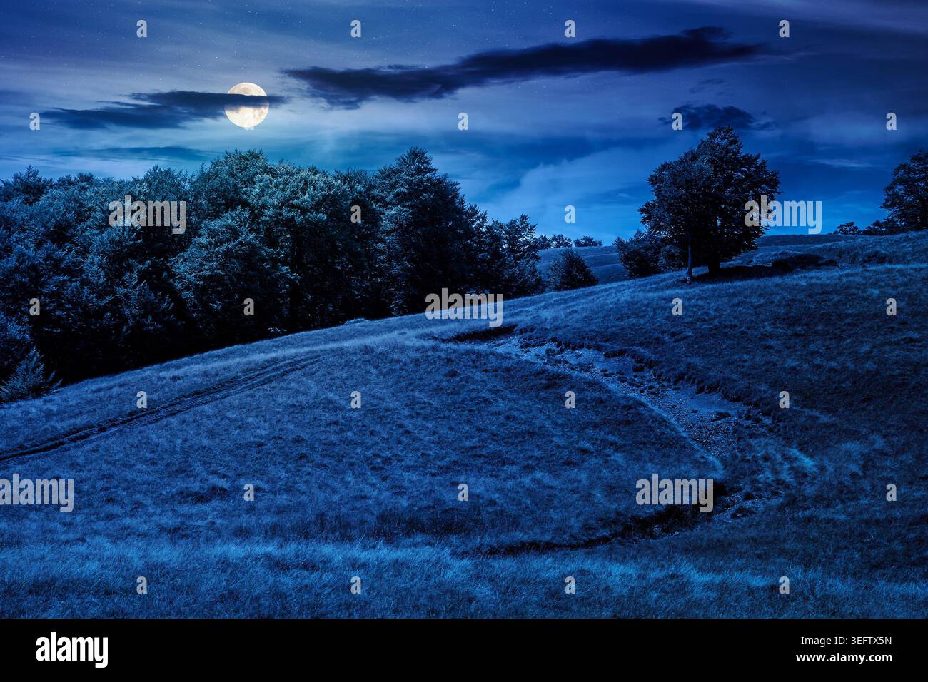 dirt road through grassy hills at night. full moon over mountain landscape with beech forest along the path. mysterious countryside. late summer scene Stock Photo