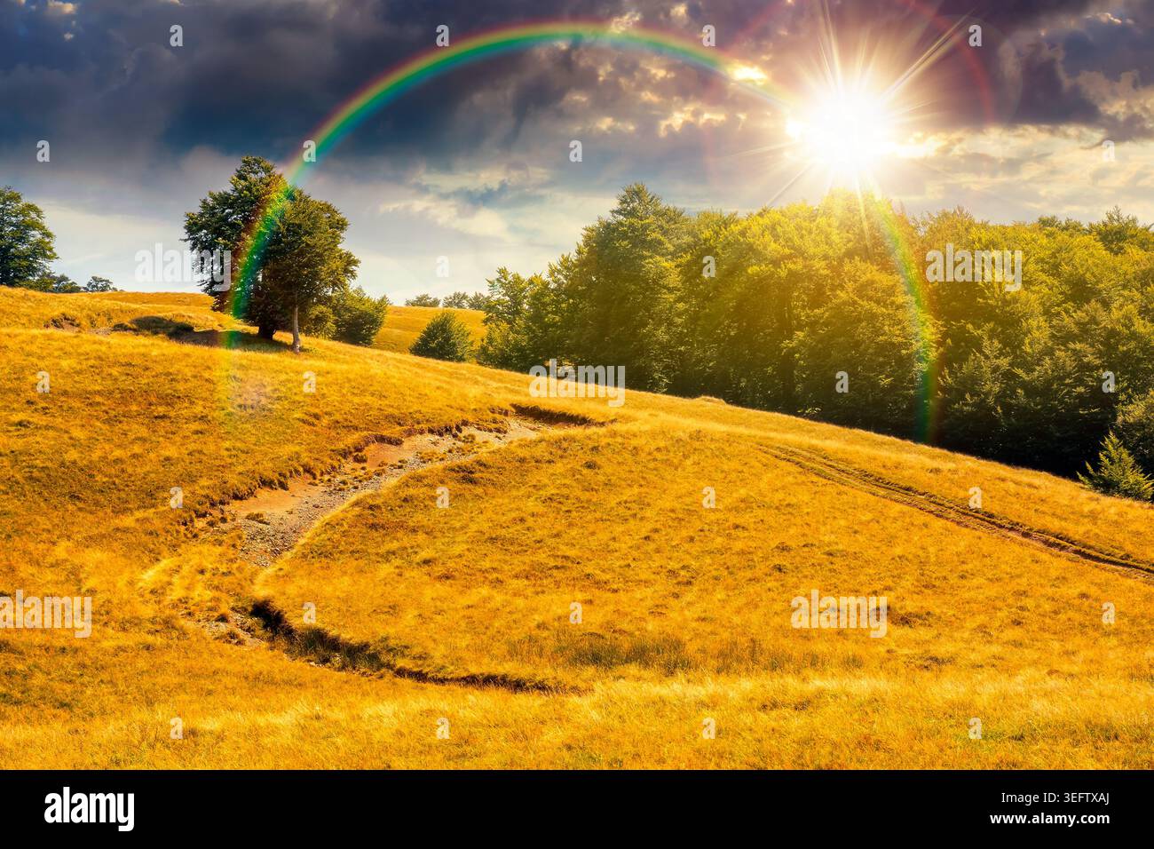 sunset over dirt road through grassy hills. mountain landscape with beech forest along the path. remote countryside. late summer scenery with primeval Stock Photo