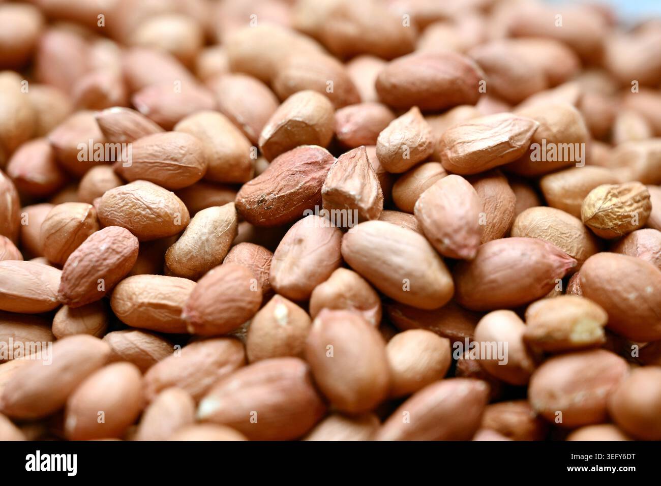Peanuts Texture with Defocus Backgrounds Macro Photography Stock Photo