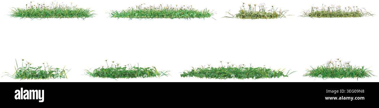 Grass isolated on white background, vector illustration Stock Vector