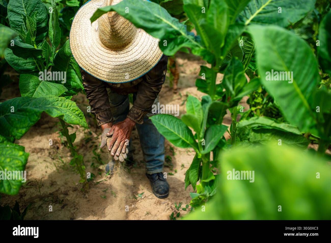tobacco smuggling Cigarette Smuggling Still Booming