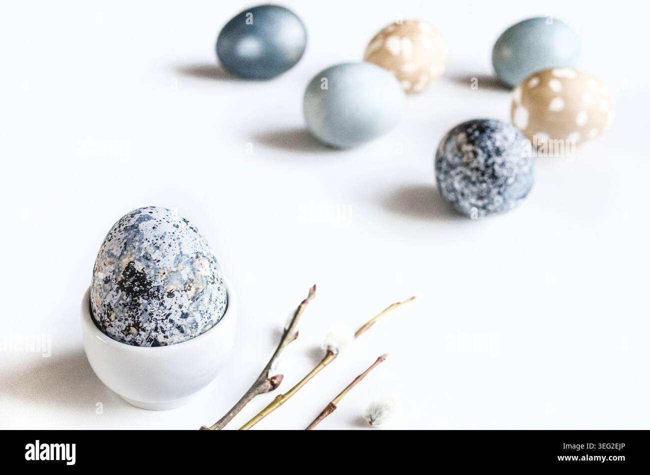 Minimal Easter egg composition featuring speckled egg in a ceramic cup, pastel dyed eggs scattered on a white background with twigs and soft daylight. Stock Photo