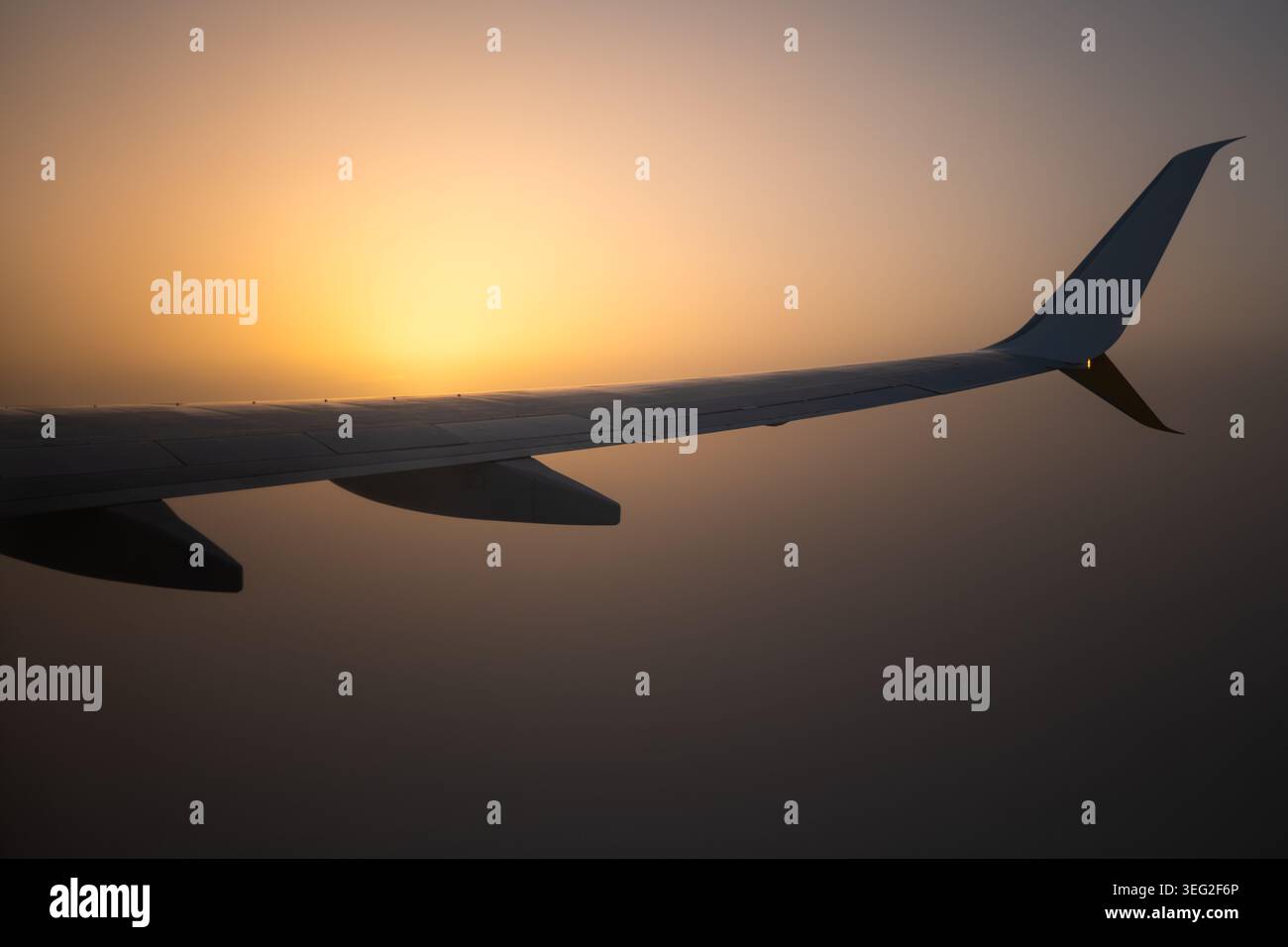 Airplane wing in silhouette during golden sunrise, viewed from a passenger window above a soft cloud layer. Calm travel mood, aviation concept, and se Stock Photo