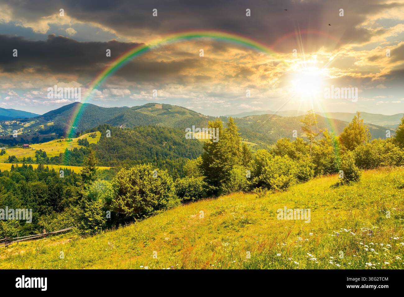 sunset over agricultural field on hillside in mountains near village. carpathian mountain landscape in summer. countryside view of alpine fields and r Stock Photo
