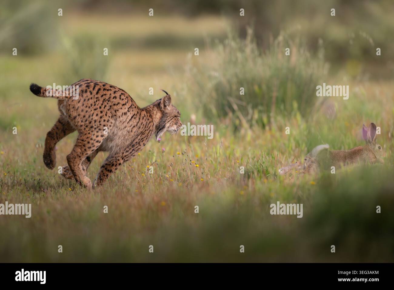 Naturalworld hi-res stock photography and images - Alamy