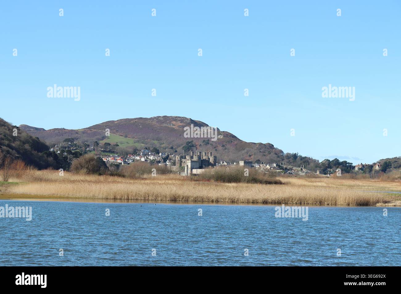 View From Conwy RSPB Reserve Towards Conwy Castle Stock Photo