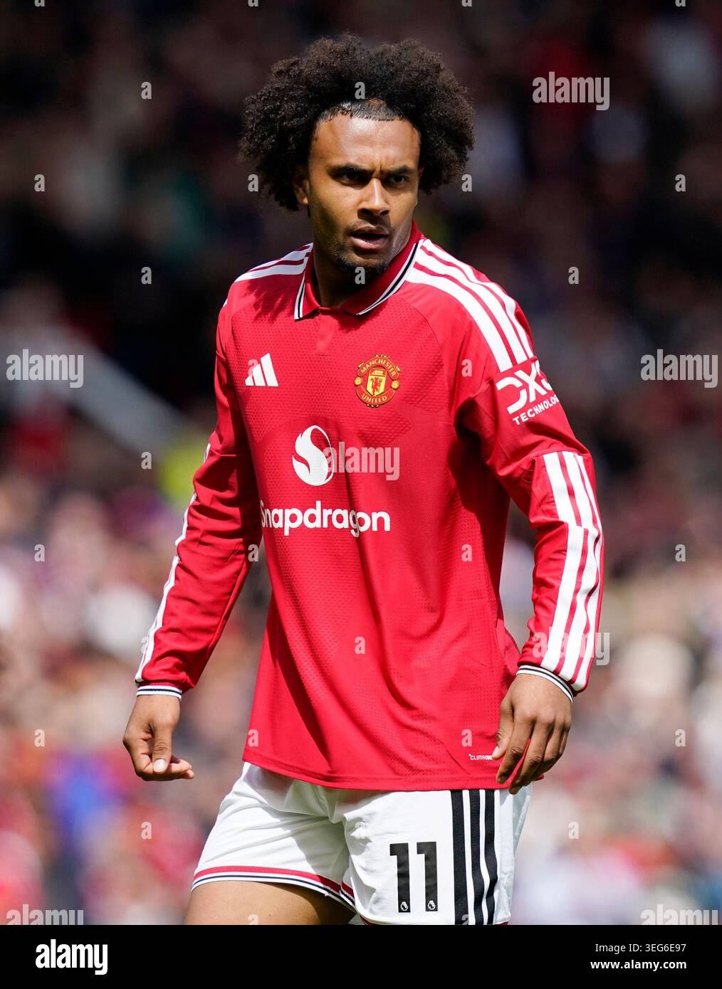 Zirkzee manchester united hi-res stock photography and images - Alamy