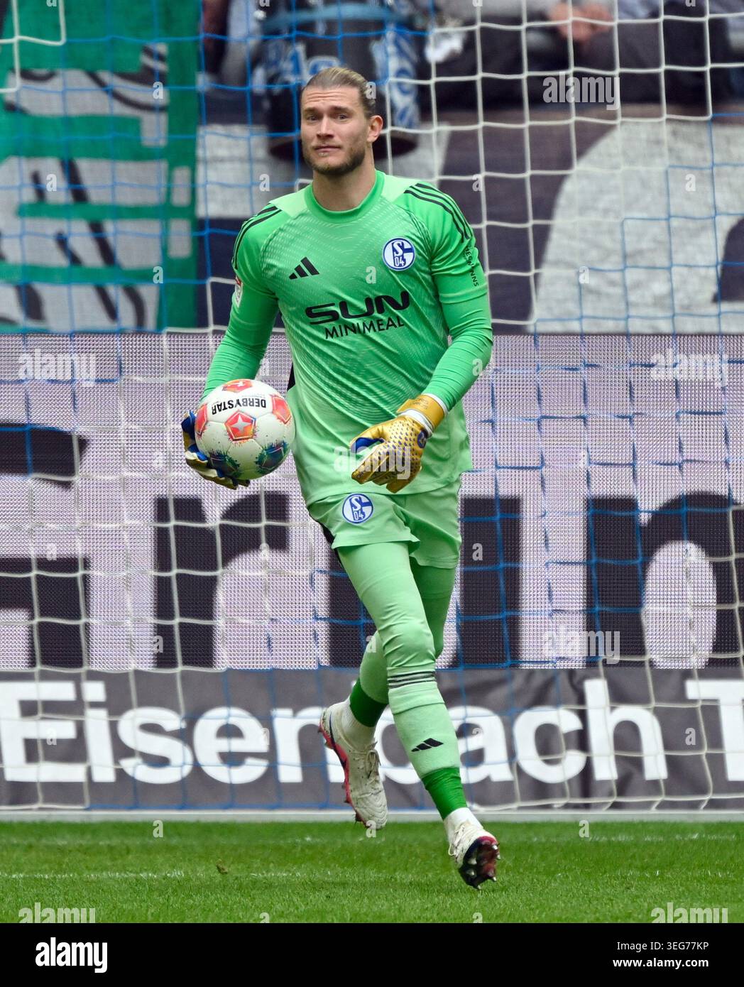 Loris karius hi-res stock photography and images - Alamy