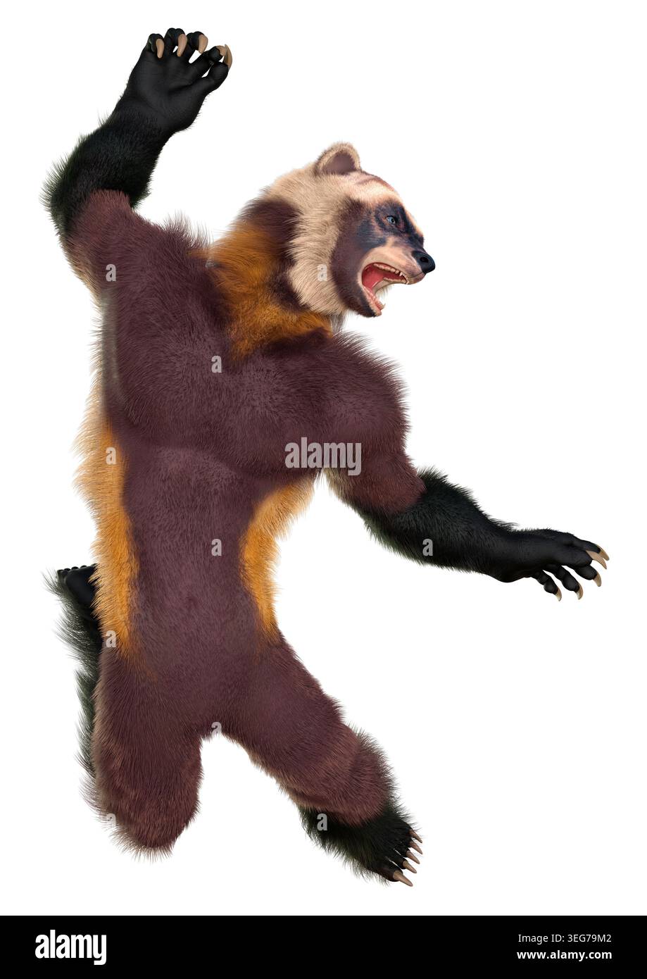 3D rendering of a wolverine man isolated on white background Stock ...