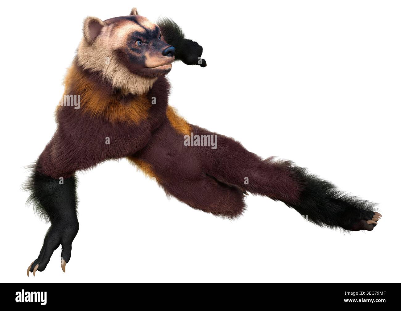 3D rendering of a wolverine man isolated on white background Stock ...