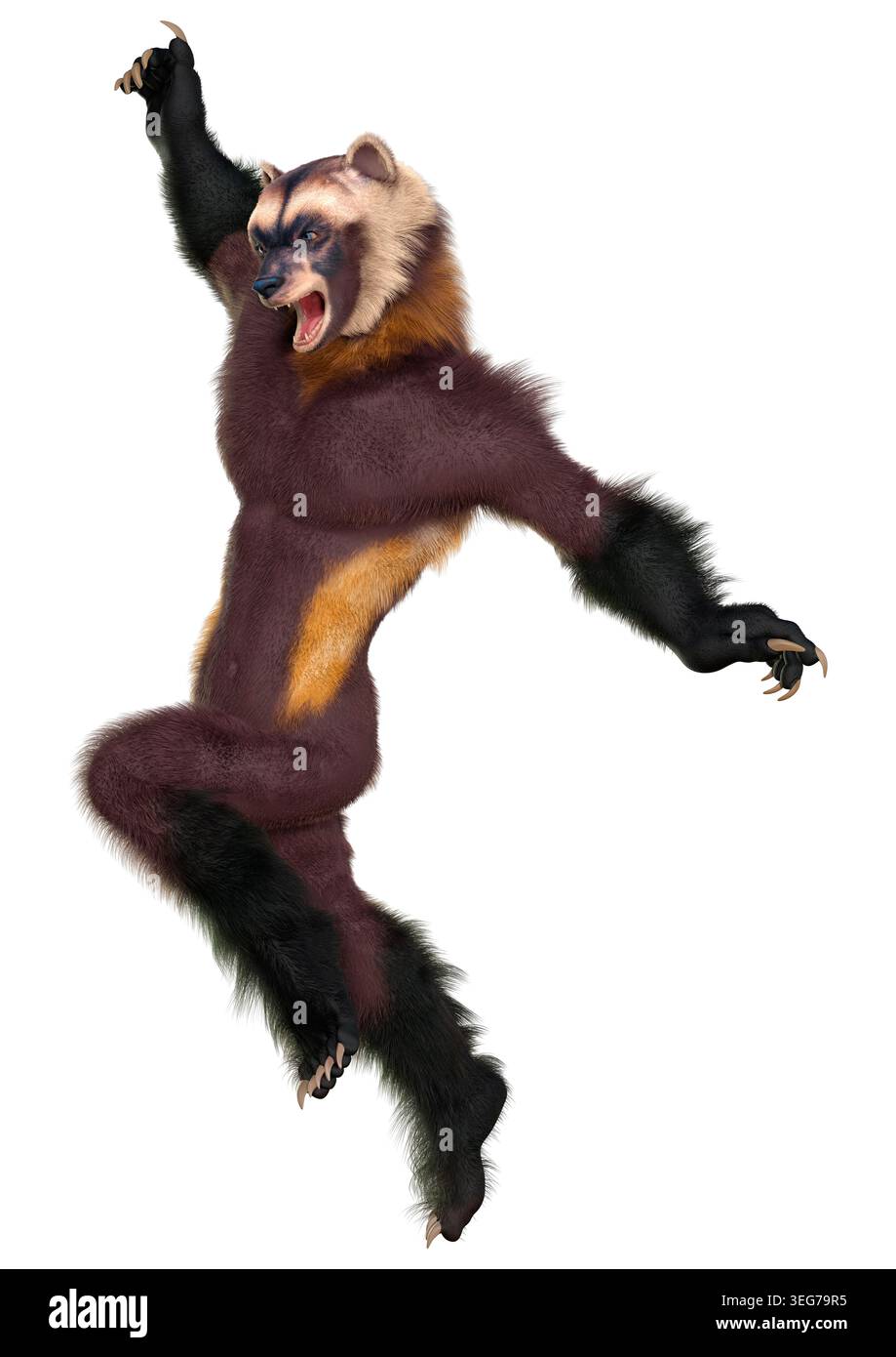 3D rendering of a wolverine man isolated on white background Stock ...