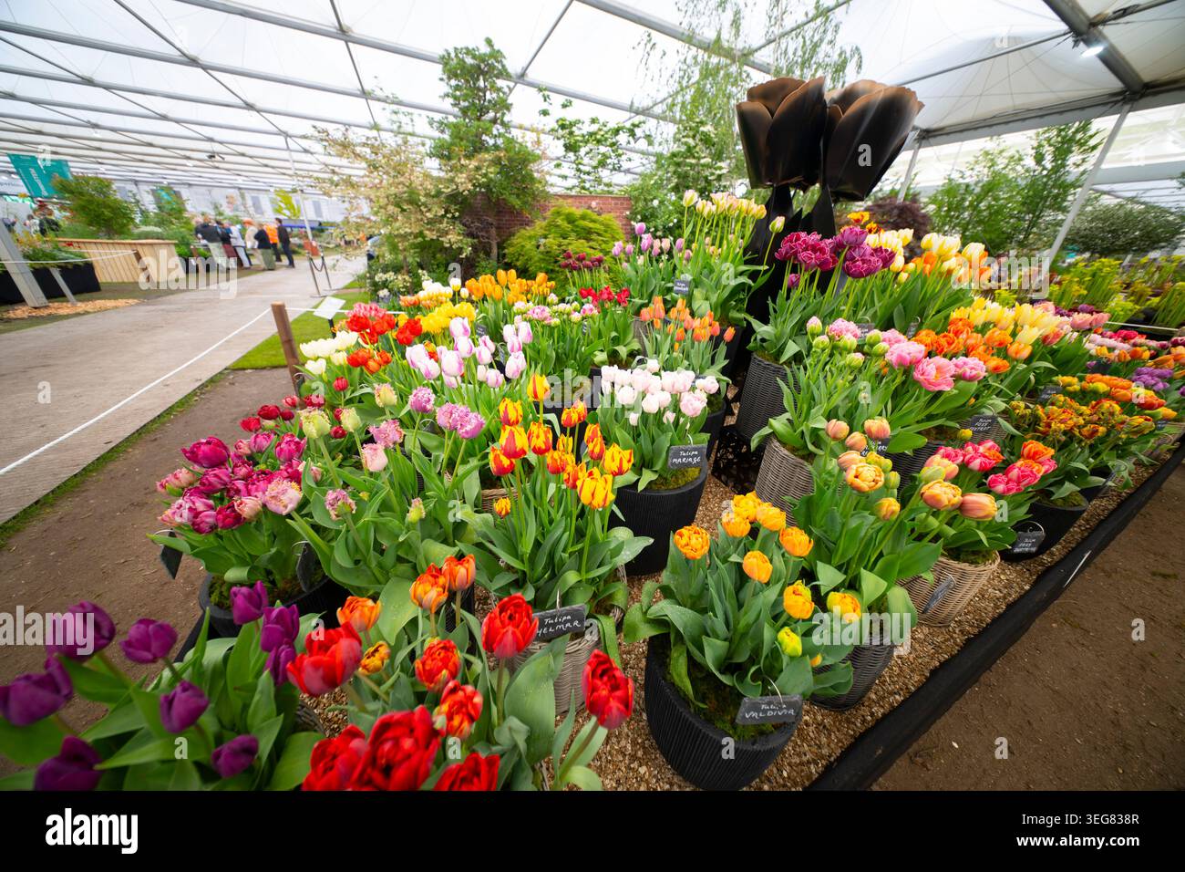 Chelsea, London, UK. 18th May, 2026. RHS Chelsea Flower Show 2026 press ...