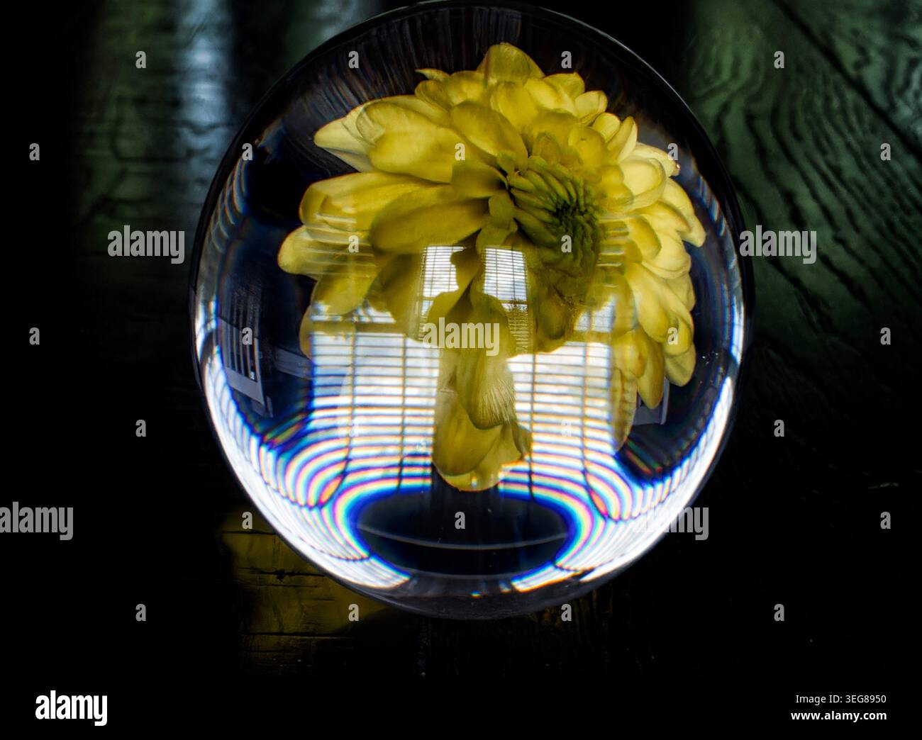 A solid glass ball on a dark surface captures reflected light. Stock Photo