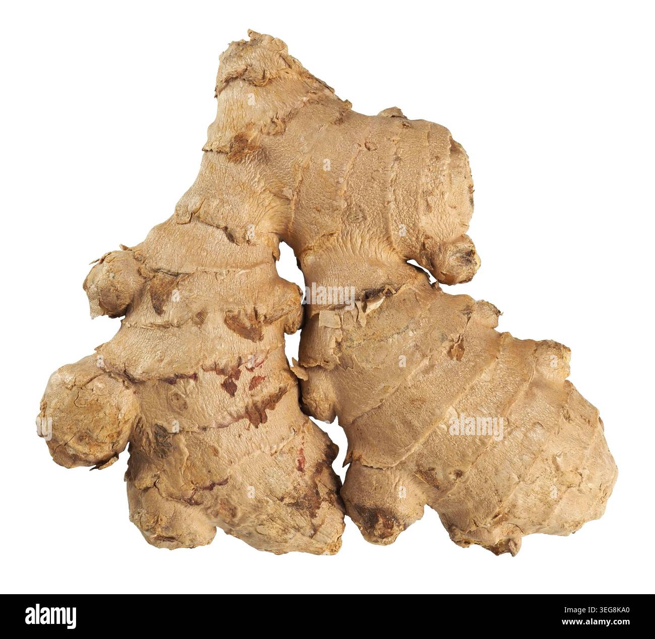 Big ginger root on white background Stock Photo