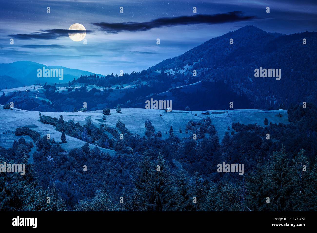agricultural field on hillside in mountains near village at night. summer full moon. green carpathian mountain landscape. narrow view. remote alpine f Stock Photo