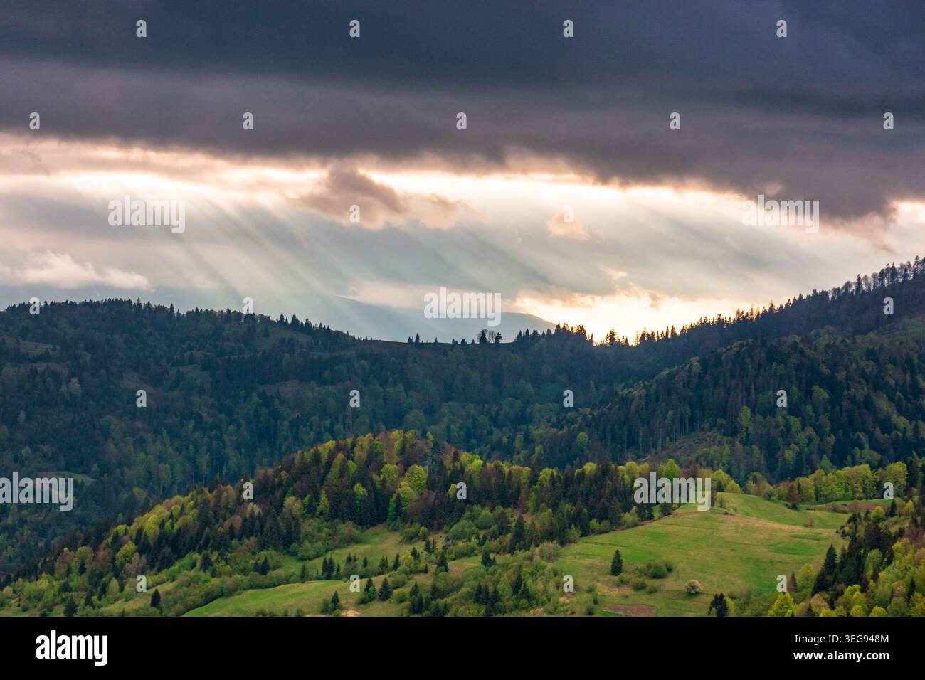 mountainous countryside scenery in the afternoon. gloomy sky view above the valley. green fields and trees on the hills. volatile nature scenery of ca Stock Photo