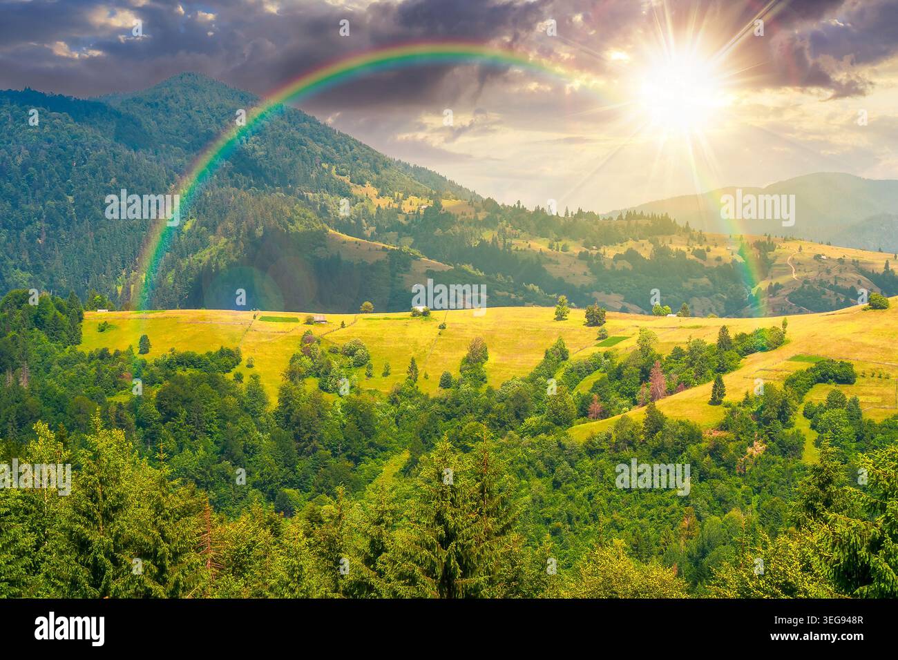 sunset over agricultural field on hillside in mountains near village. summer evening. green carpathian mountain landscape. narrow view. remote alpine Stock Photo