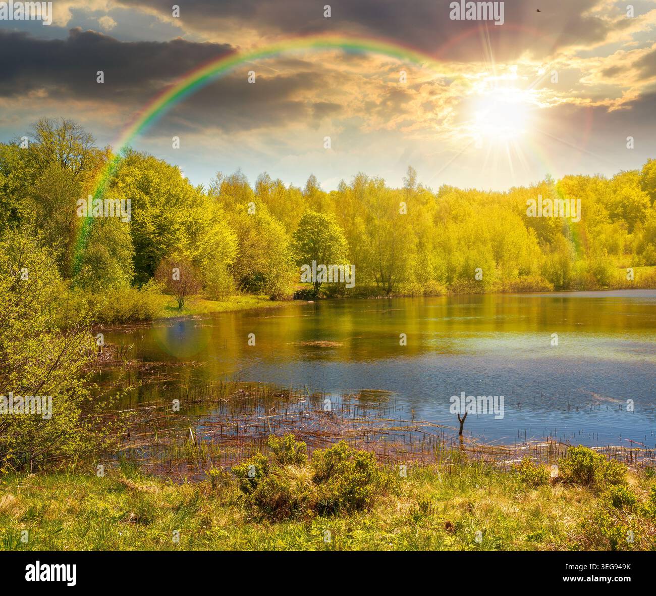 sunset over landscape by the lake. deciduous forest near the glacial lake. view of primeval forest of carpathian mountains in spring. cloudy sky. hiki Stock Photo
