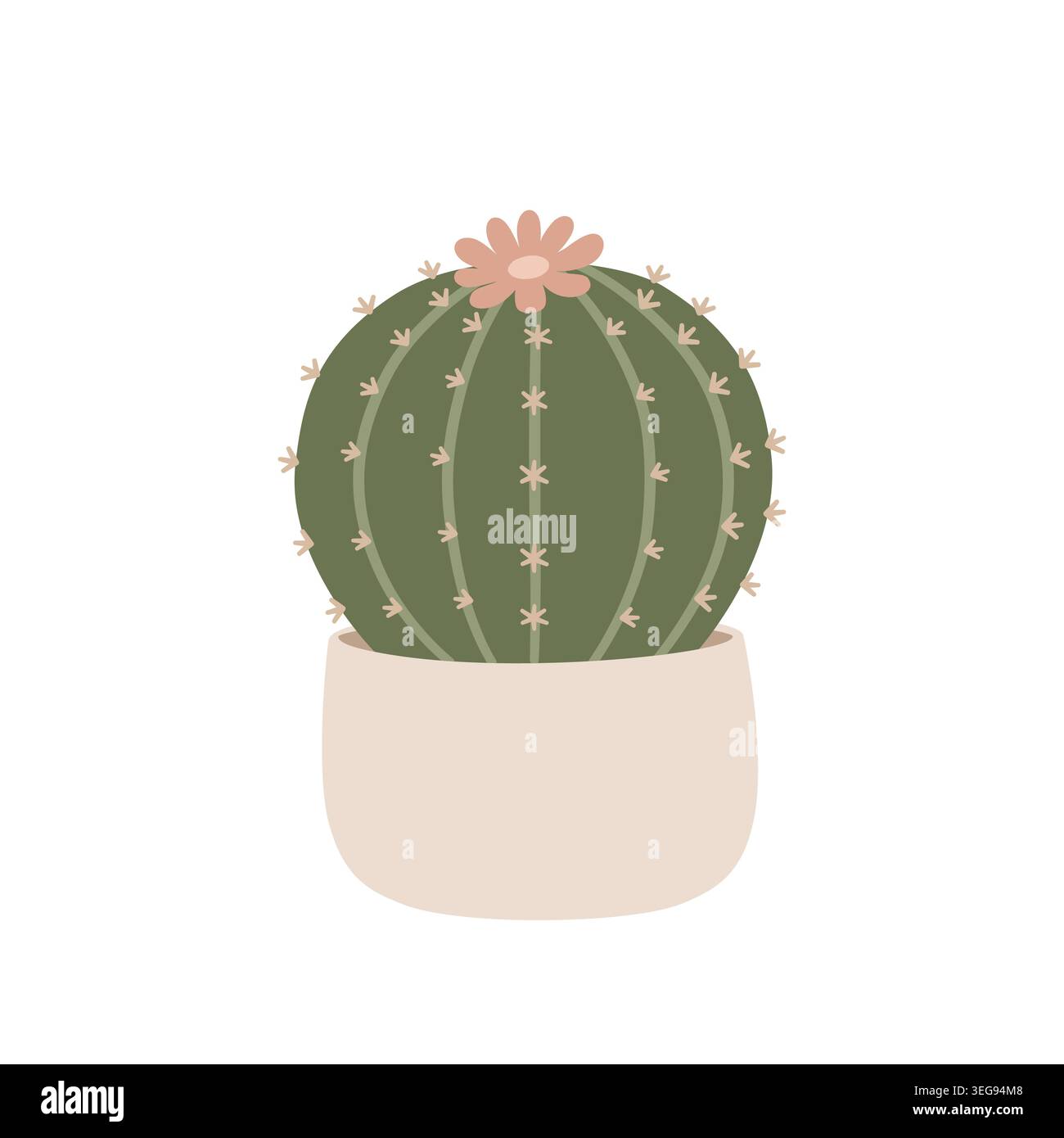 Blooming round cactus in pot illustration. Stock Vector