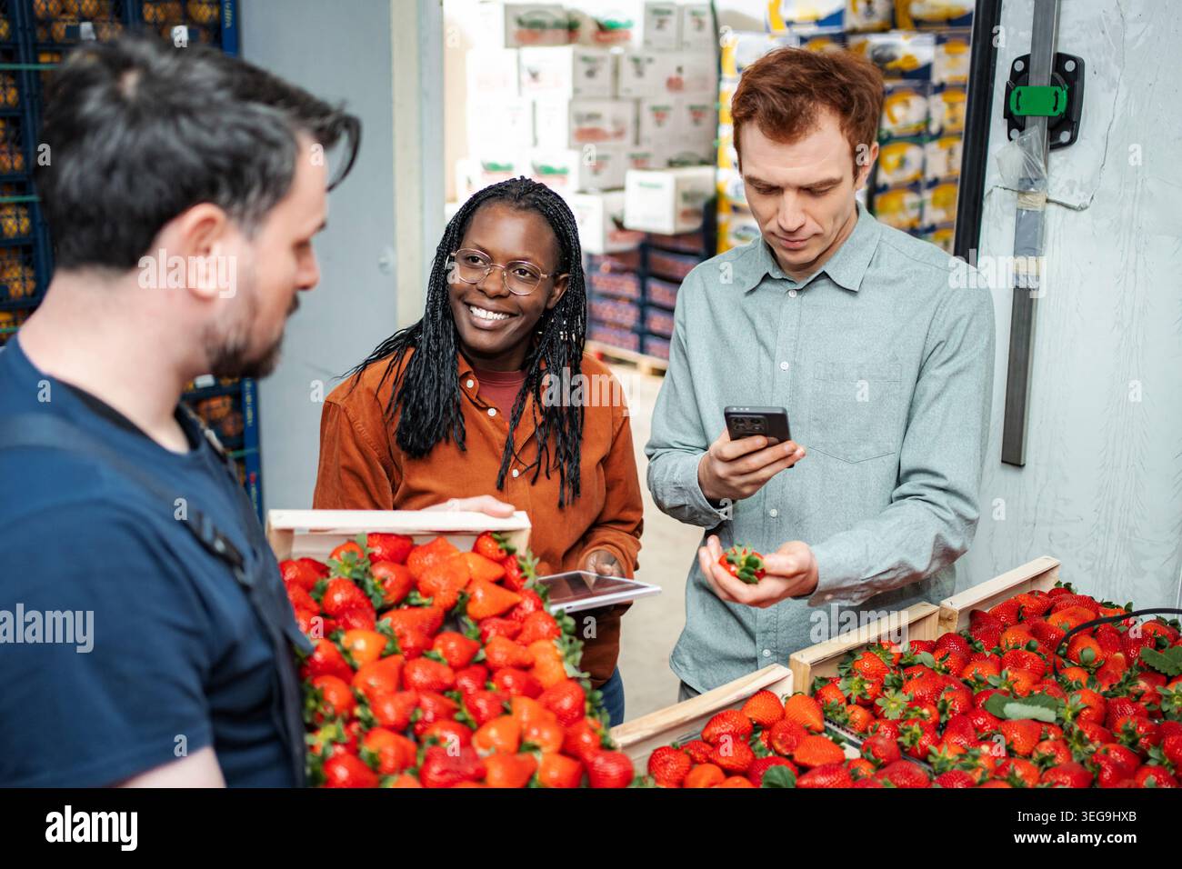 Workers inspecting strawberries using digital devices in distribution warehouse Stock Photo