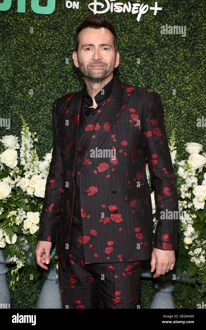 David Tennant attends the special screening of 