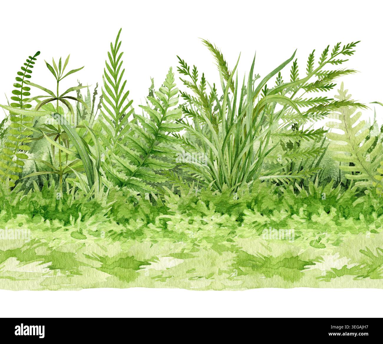green-grass-seamless-border-clipart-with-fern-leaves-and-meadow-plants