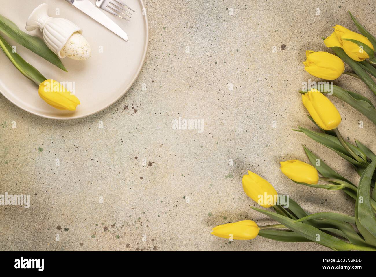Easter egg on a plate with yellow tulips Stock Photo