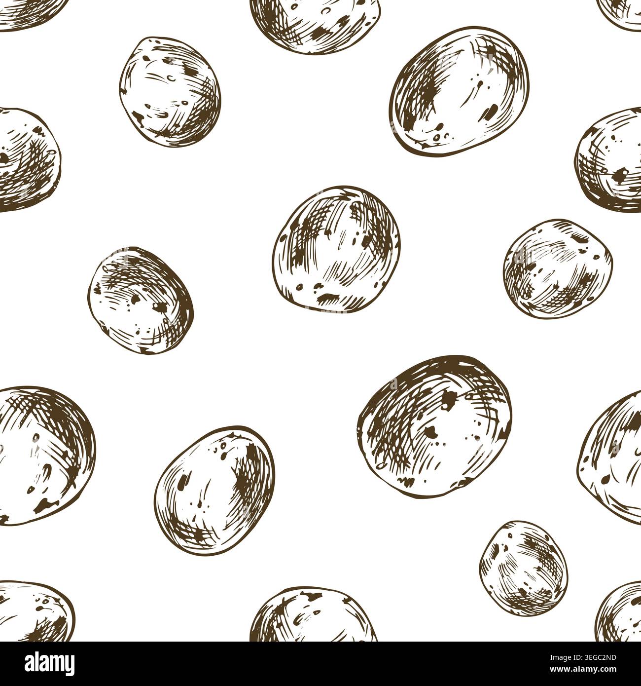 Seamless pattern with hand drawn baby potatoes. Sketch illustration of vegetables created with pen and ink. Line art style graphics for agricultural Stock Vector