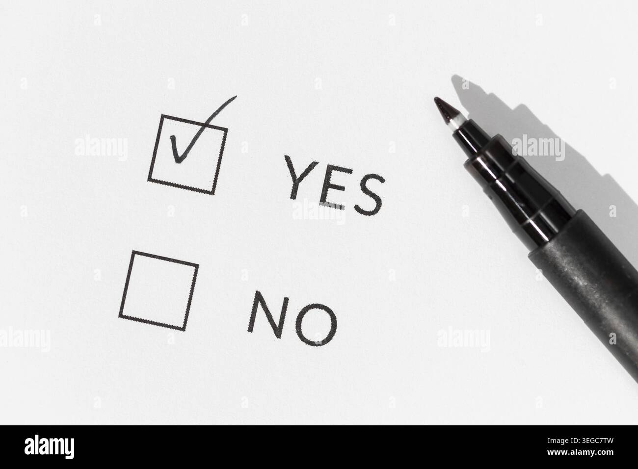 Yes or No Check boxes on white paper Stock Photo
