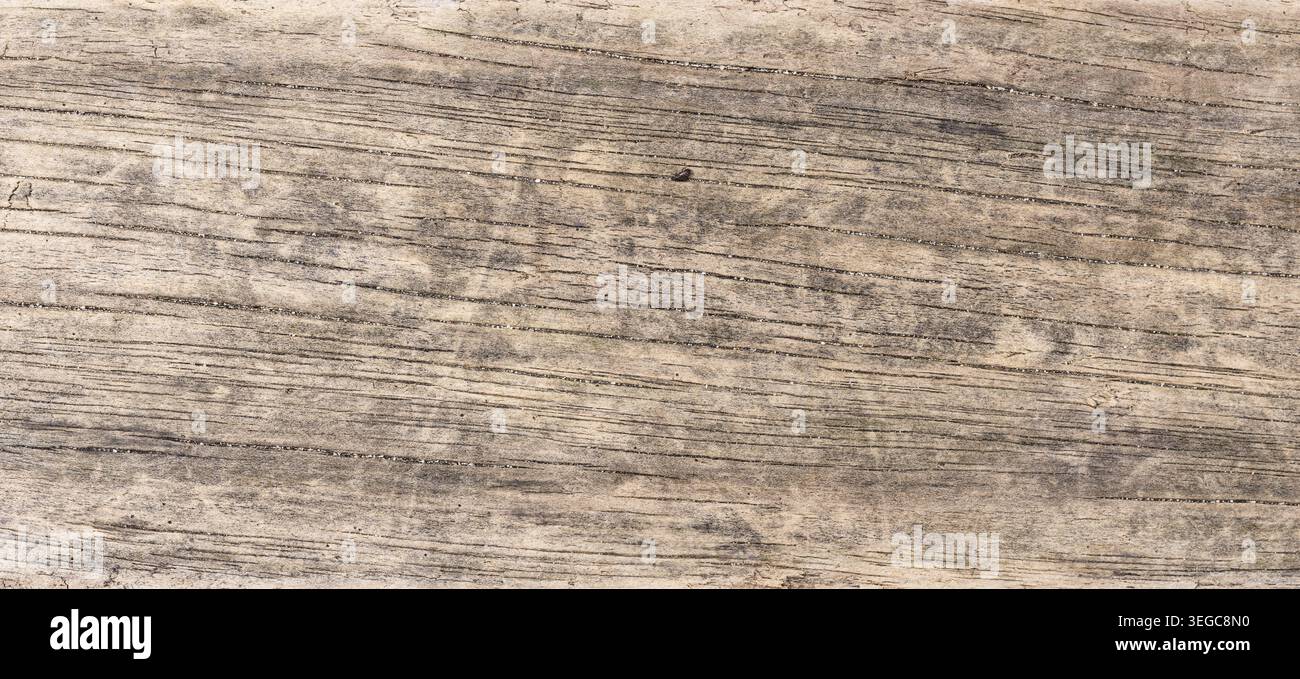 Driftwood abstract background texture. Full frame Stock Photo