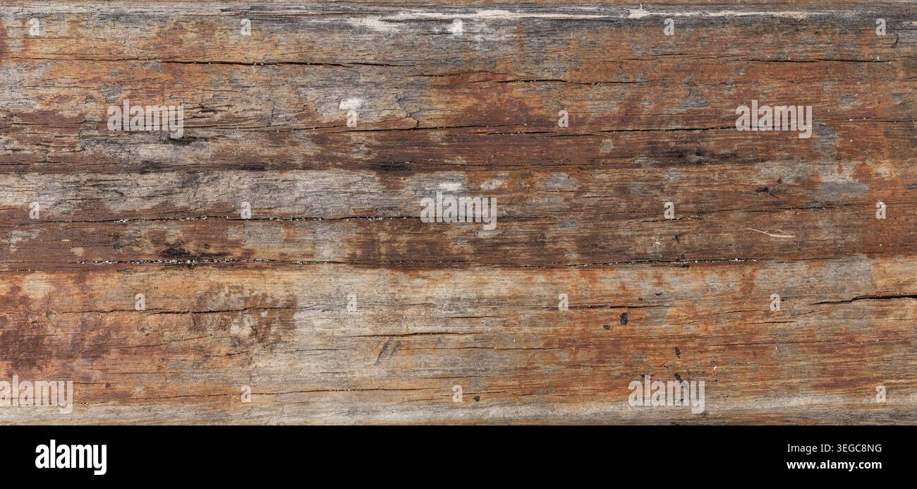 Driftwood abstract background texture. Full frame Stock Photo