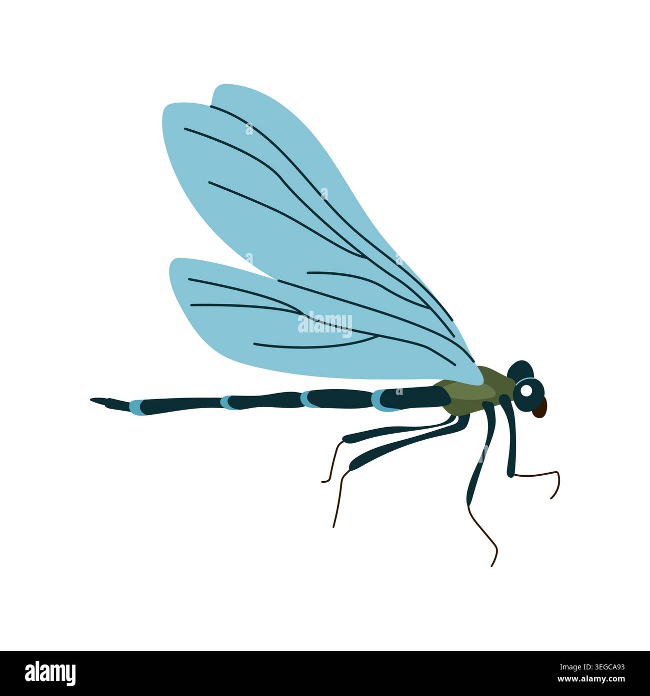 Blue dragonfly insect side view vector illustration isolated on white background Stock Vector