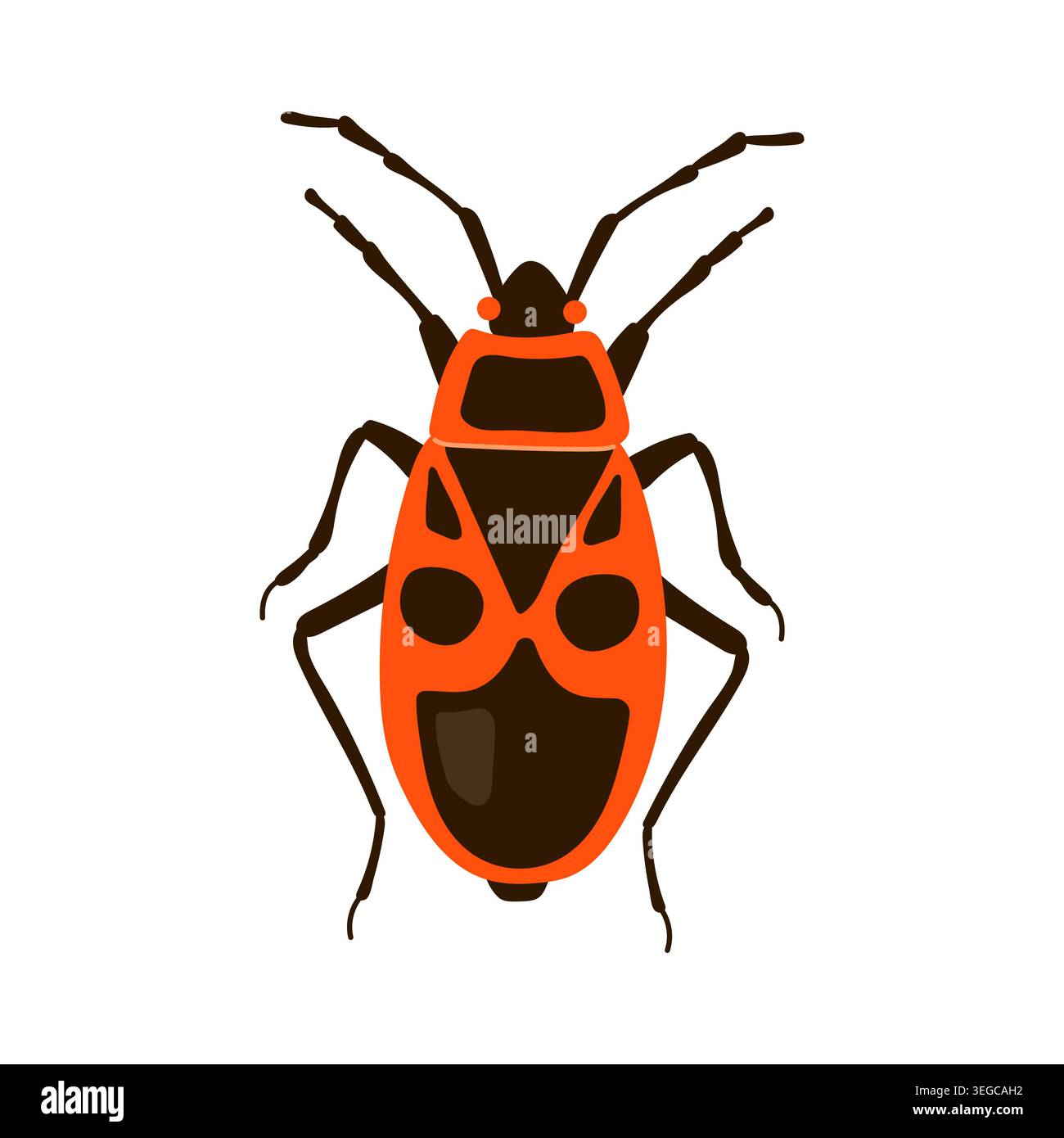 Red firebug insect with black pattern vector illustration isolated on white background Stock Vector