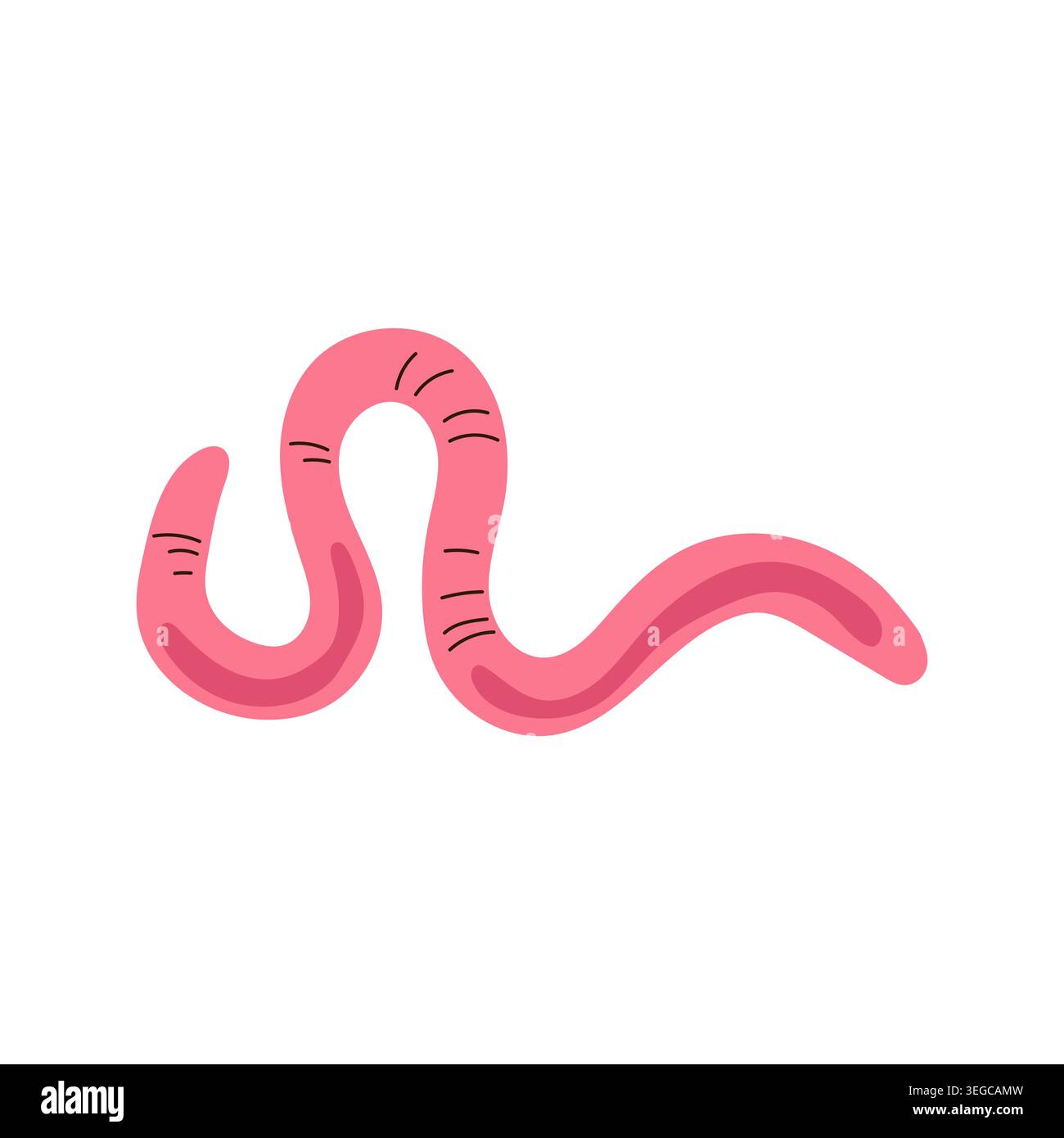Pink earthworm crawling vector illustration isolated on white background Stock Vector