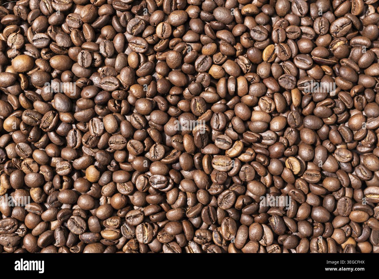 Roasted coffee beans background texture. Top view Full frame Stock Photo