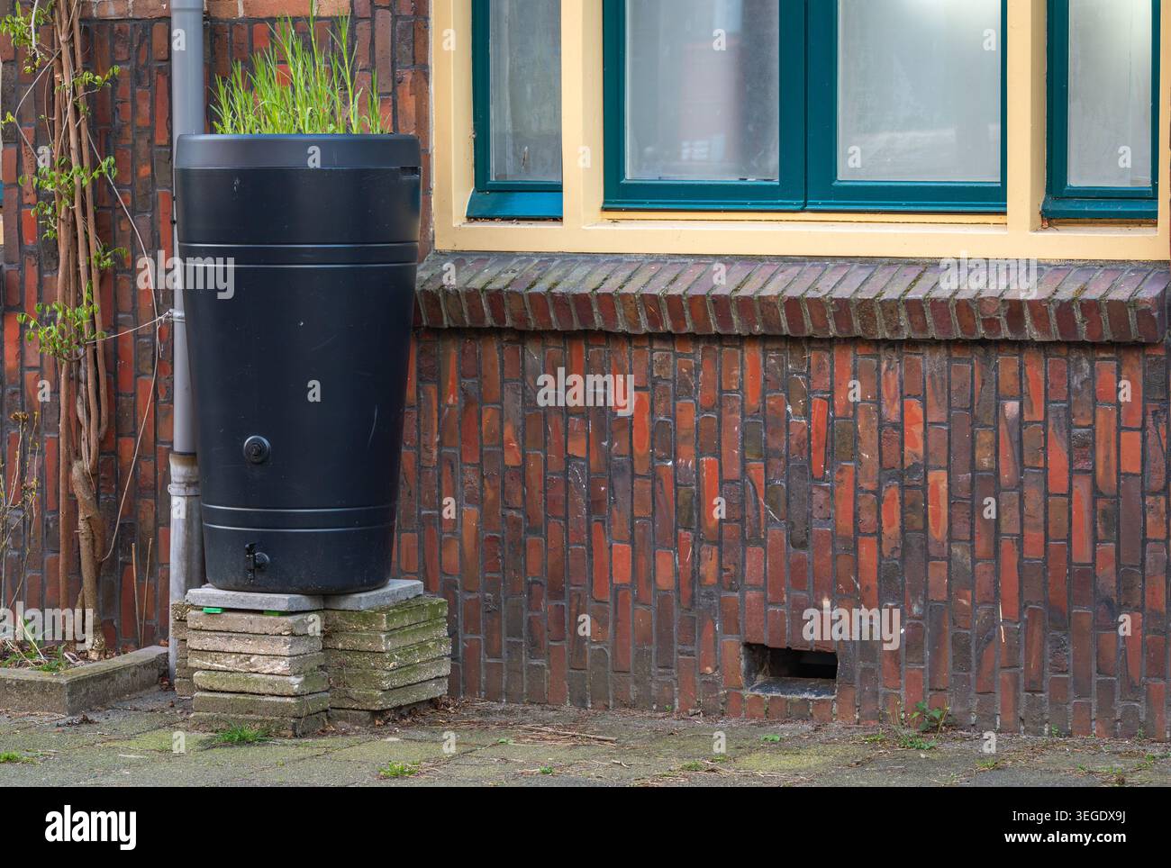 Curated visual reference: Fresh Look at Communal Rain Barrel In Dutch City For Eco Friendly Rainwater