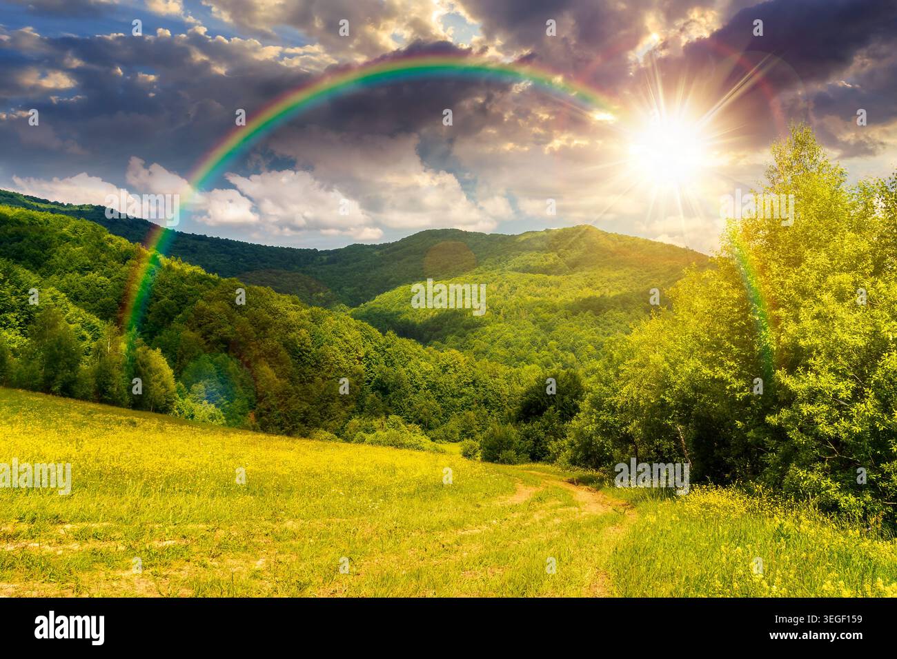 sunset over beautiful countryside of ukraine. wonderful view of summertime landscape in mountains. trail through the grassy field near forested rollin Stock Photo