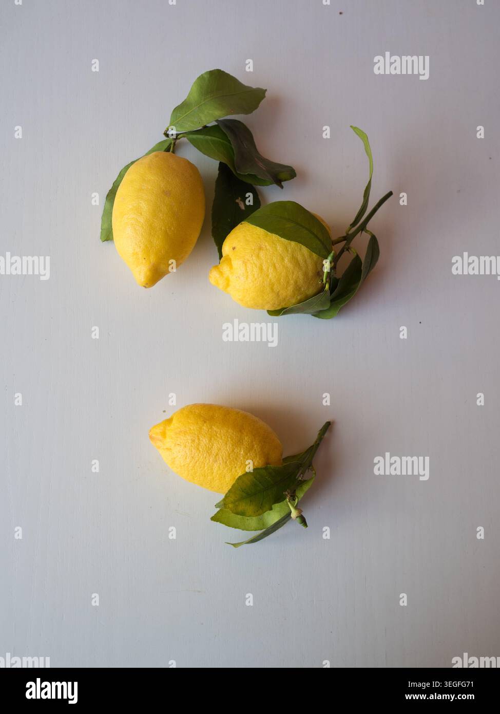 Three Fresh Lemons with Green Leaves on White Table, Vertical Flat Lay Stock Photo
