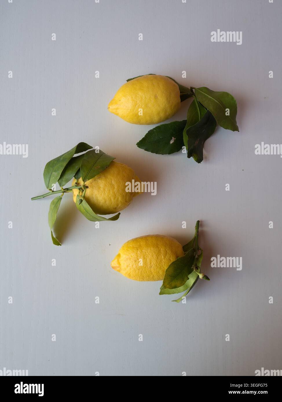 Three Fresh Lemons with Green Leaves on White Table, Vertical Flat Lay Stock Photo