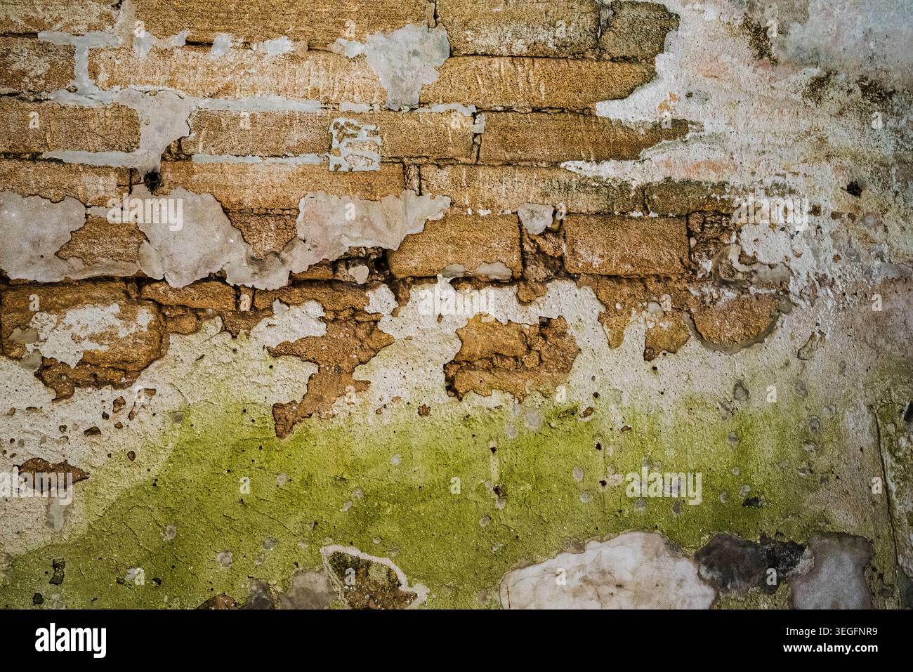 old brick wall Stock Photo
