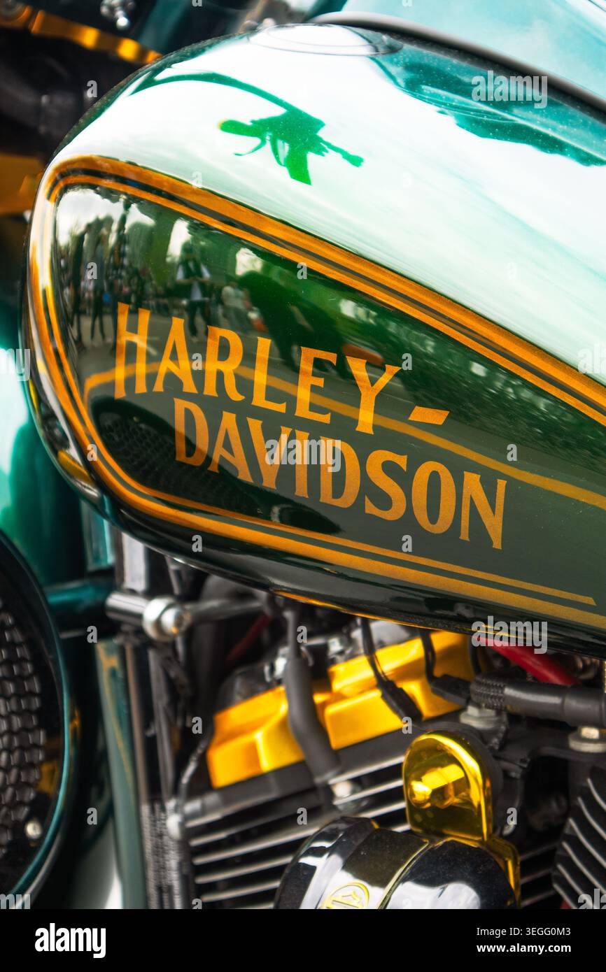 Green harley davidson fuel tank hi-res stock photography and