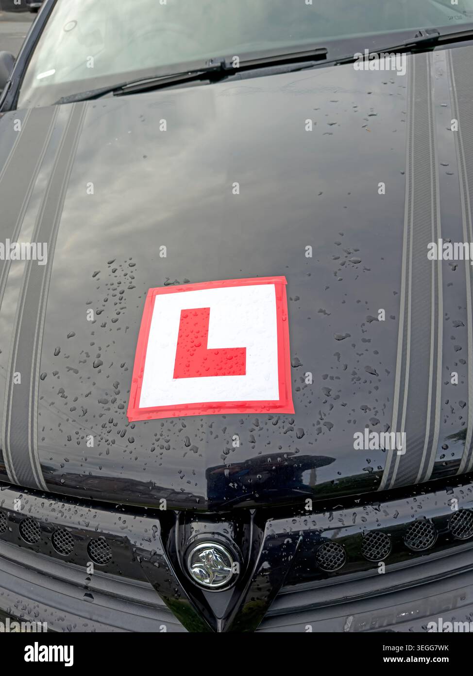 Learner driver L plate displayed on the bonnet of a black performance car, highlighting UK motoring, test delays and young drivers. Stock Photo