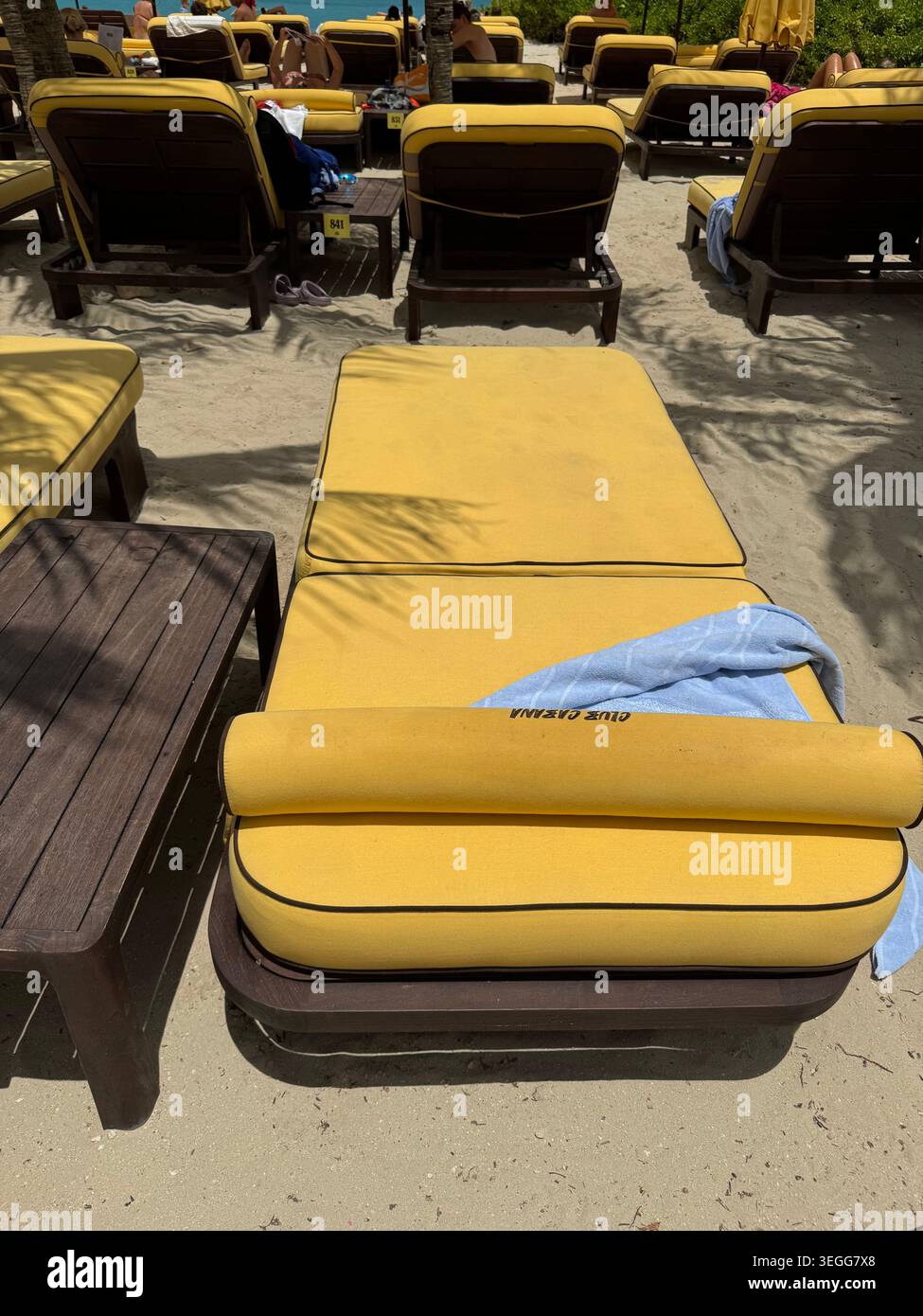Close-up view of comfortable yellow sun loungers on a sandy beach at a luxury tropical resort in Curacao. - Smartphone Captured Stock Image
